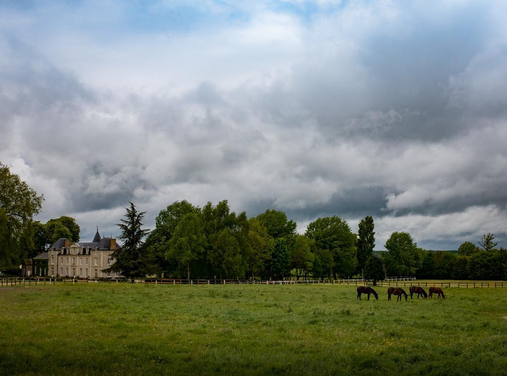 Hotel Haras De La Potardiere Crosmières Exterior foto