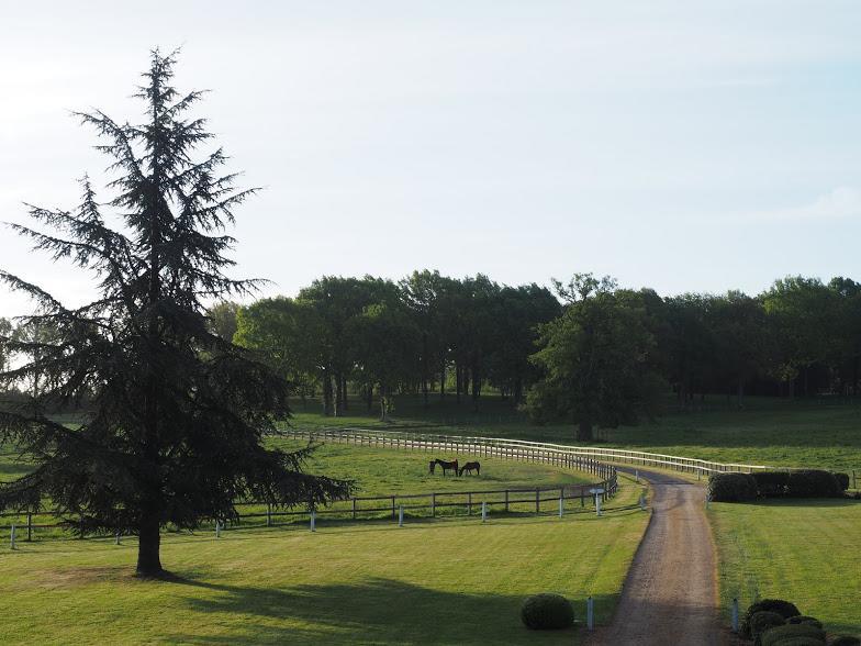 Hotel Haras De La Potardiere Crosmières Exterior foto